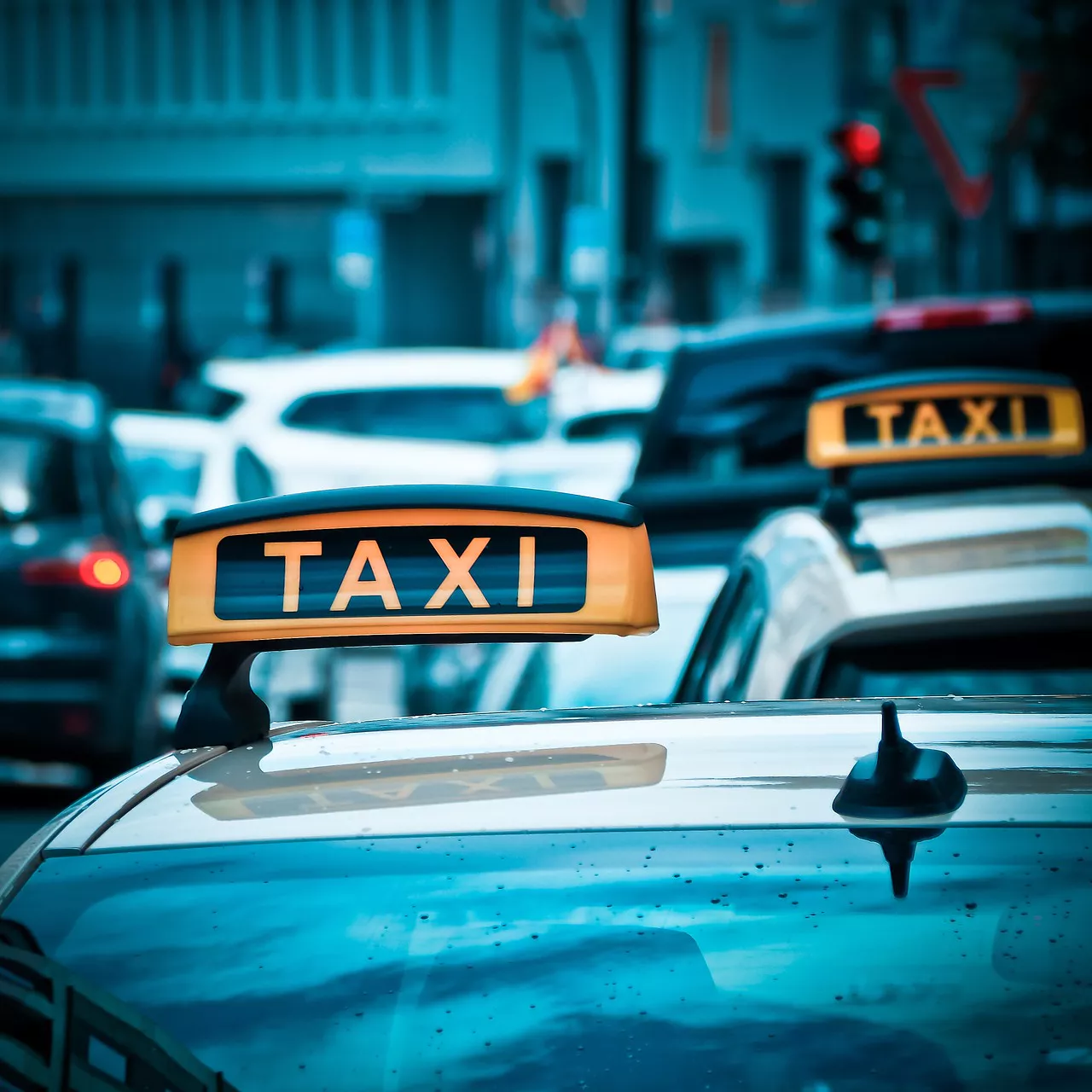 taxischild